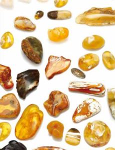 Natural Baltic Amber – Magnetic, Adaptogenic, Universally Applicable